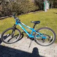 21 speed youth sized Mountain bike. 