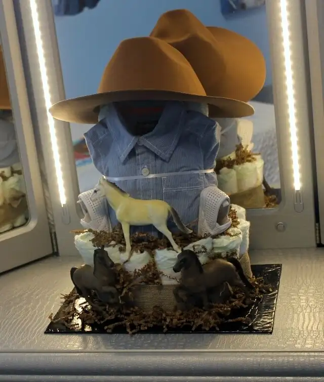 MY DIAPER CAKE CREATIONS in Bathing & Changing in Guelph - Image 10