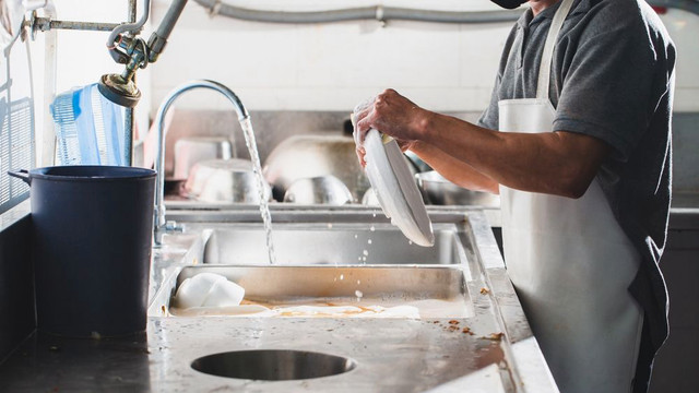 Dishwasher in General Labour in Mississauga / Peel Region