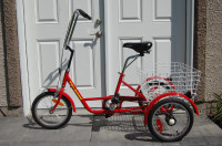 Belize Tricycle - 16 inch wheels, direct drive
