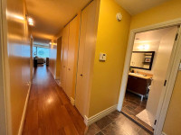 3beds/2baths walkable to McGill and Concordia