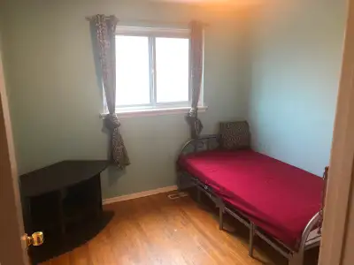 Room rental near bramalea city center in Brampton