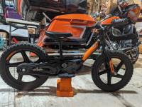 Harley Davidson Iron 16e