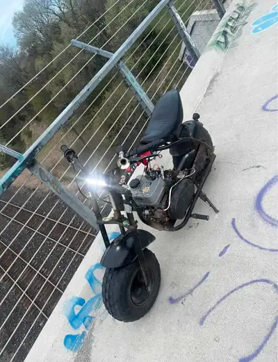 208 cc mini bike with electric start and pull start upgraded carb and intake. Verry quick mini bike....