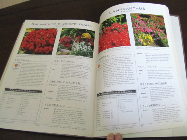 FLOWERING PLANTS for YOUR GARDEN in Non-fiction in Ottawa - Image 4