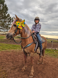 March Break Horseback Riding Camps on PEI