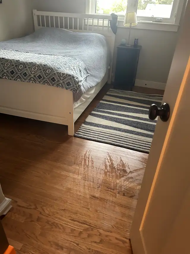 Move out, deep cleaning, residential house cleaning in Cleaners & Cleaning in Calgary - Image 6