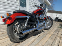 2013 Harley Davidson XL1200 C