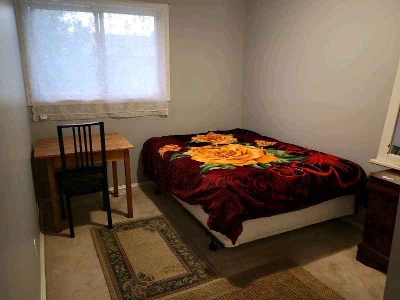 Furnished room for rent all incl. Walkley/Albion near bank st Room