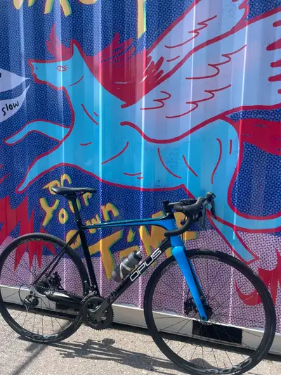 Opus Alegria 2 carbon, View more
