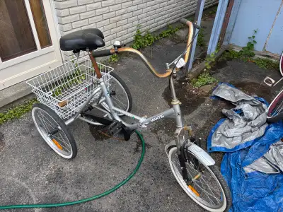 Used Adult Tricycle, View more