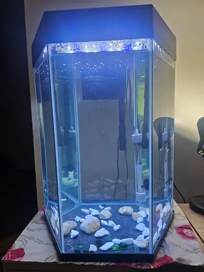 Top Fin Captivate Stater Kit 20 Gallon, View more