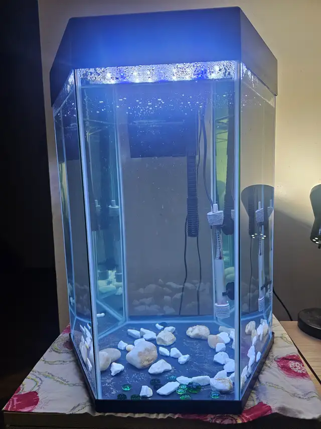 Top Fin Captivate Stater Kit 20 Gallon in Accessories in Saskatoon - Image 2