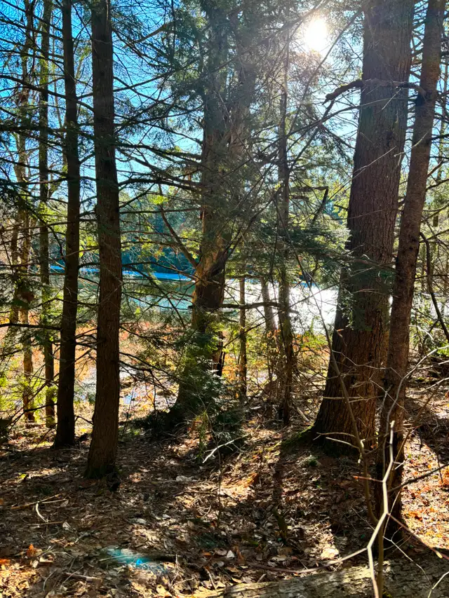 Weekly Campsite ️  Rentals in Quebec in Canada - Image 10