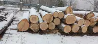 Ash and hemlock  saw logs forsale