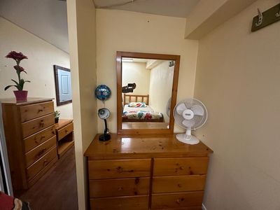 Furnished Private Room For Rent in Walkout Basement for a Female Tenant from 1st January in Mississa...