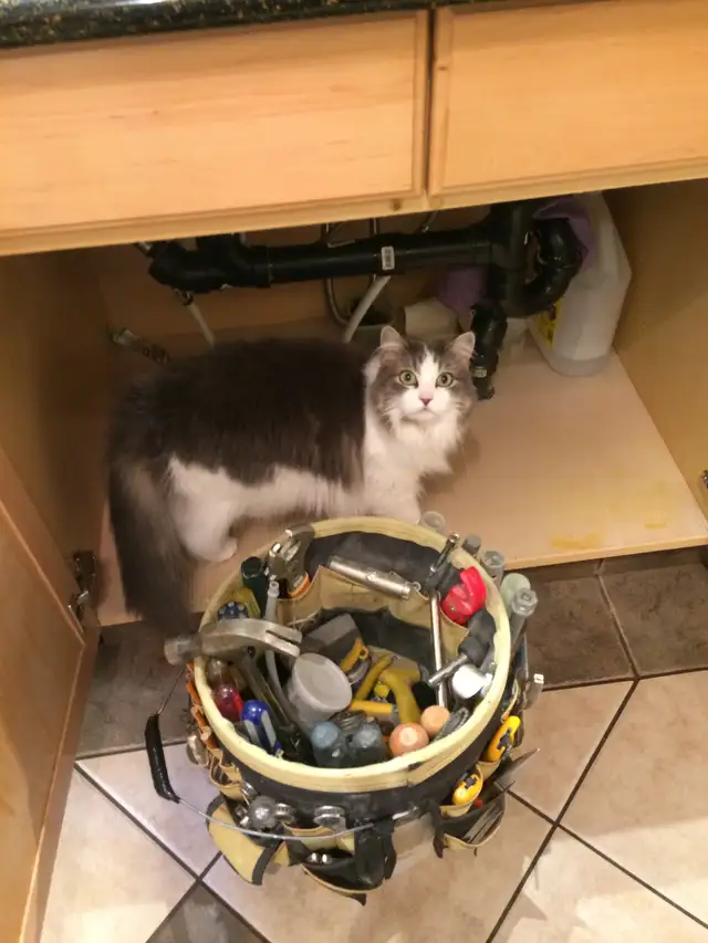 Edmonton Handyman for small or medium projects.64519978553474120