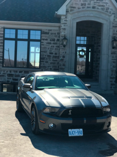 2010 Shelby gt500