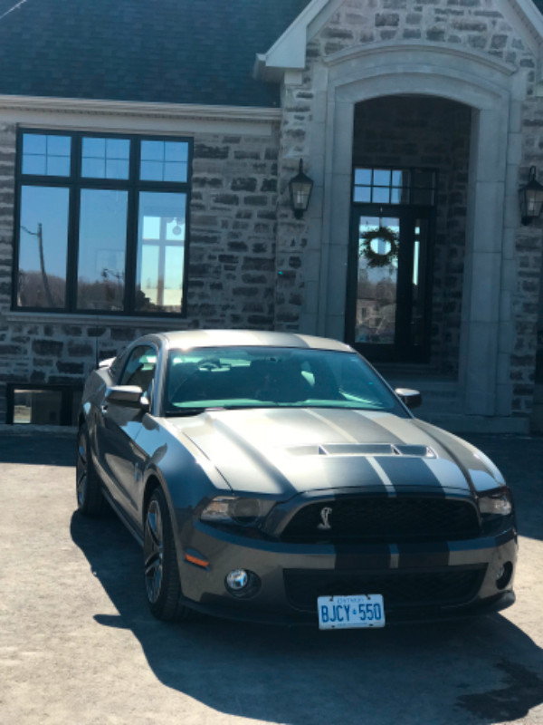 2010 Shelby gt500 in Cars & Trucks in City of Toronto
