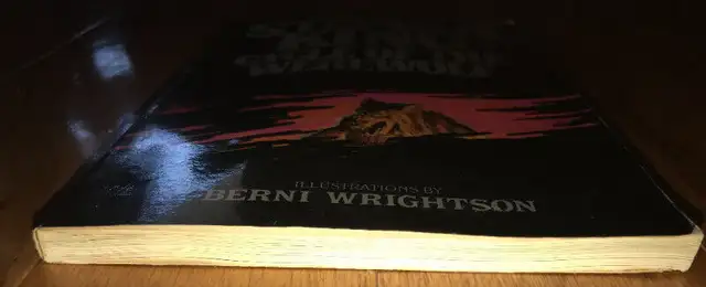 Stephen King Cycle of the Werewolf Paperback Book in Fiction in St. Catharines - Image 6