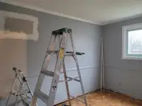 Painter want a part time job
