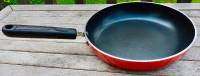 LAGOSTINA 10 inch Frying Pan
