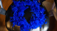 BLUE  BOA