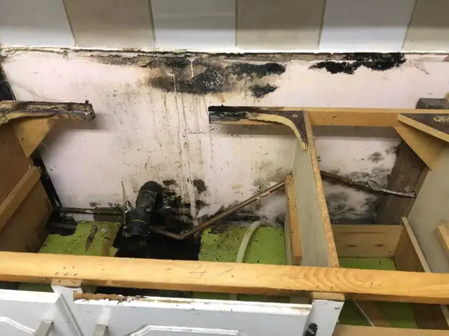 24/ 7 Mold Removal566985241386045444