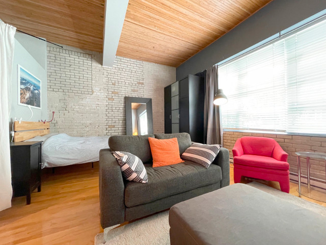 Petite-Italie/Mile-End: Superbe loft de 480 pc avec garage. dans Condos à vendre  à Ville de Montréal - Image 3