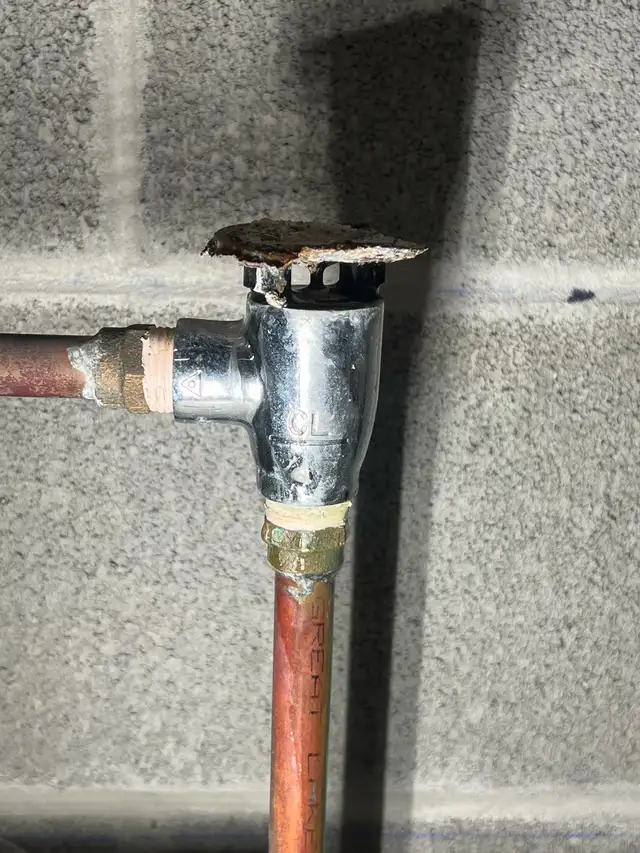 service plumber431543295180154881
