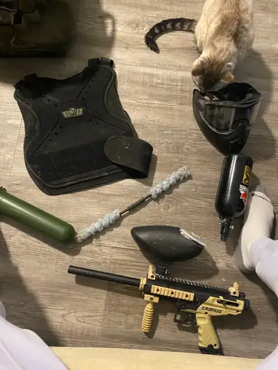 paintball gun and Equipment , View more