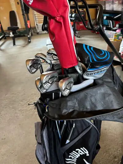 Used set of golf clubs. Used 1-3 times per season. In excellent shape. Don’t use sufficiently open t...