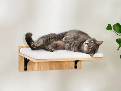 $20 Cushioned Wall Mounted Cat Wall Shelf, View more