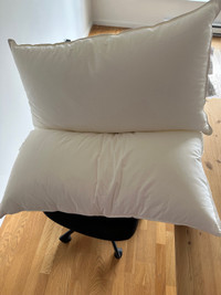 Amazon basics pillow