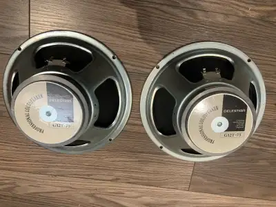 2-Celestion g12t-75s, View more
