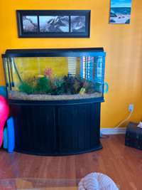 75 Gallon Fish Tank $450