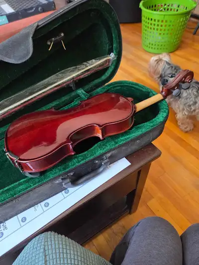 Rothenburg Violin, View more