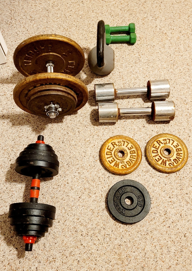 172.5 lb Weider Dumbells /Assorted Weights & Barbells / Dumbells