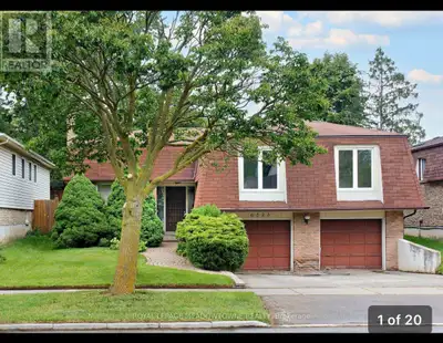Spacious - Fully Renovated 4 bedroom 2 bathrooms house for rent