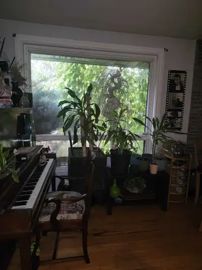 Hi. Welcome to your new home! It is quiet safe and in a great neighborhood. 10 min walk to yonge 3 m...