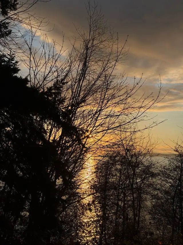 Help Available64520067739906120