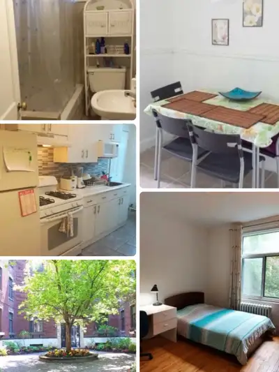Room for rent