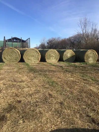Bale Picking & Hauling, View more