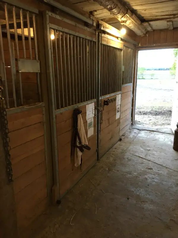 Horse boarding - Indoor in Animal & Pet Services in Ottawa - Image 4