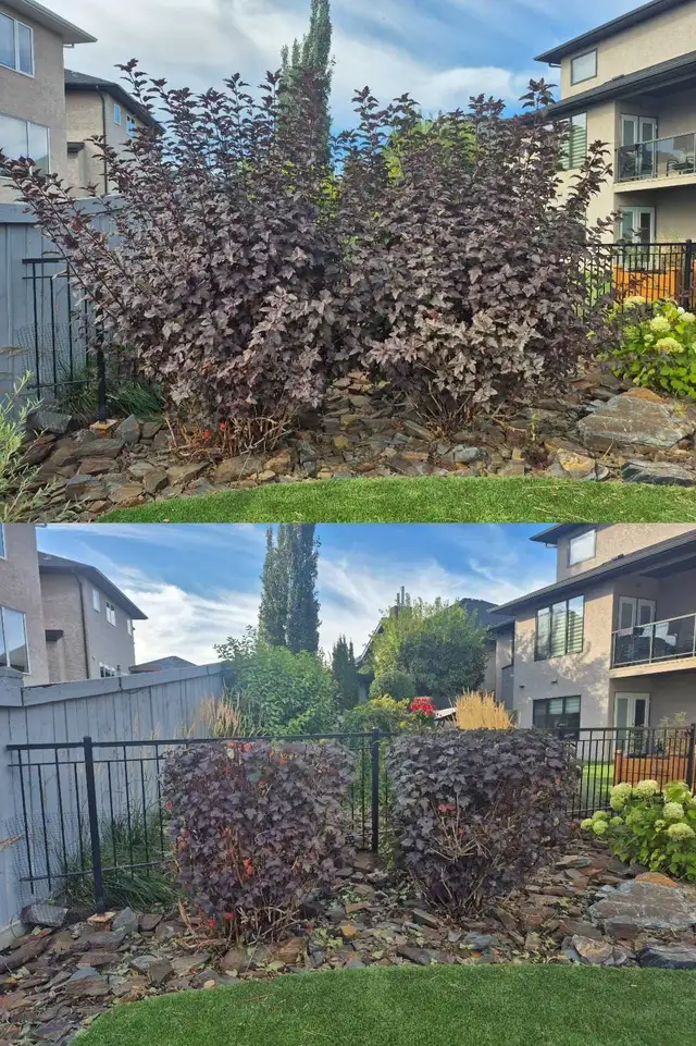 Sod installation460148142360514565