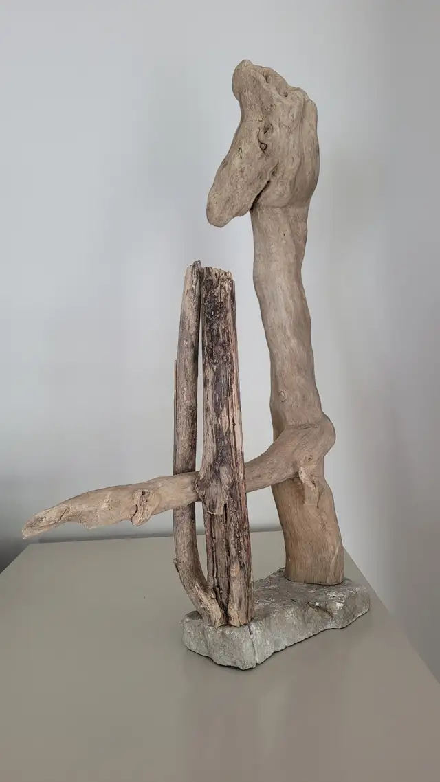 Bois Flotté Accessoire sur base Aquarium Driftwood w/base in Hobbies & Crafts in Laval / North Shore - Image 6