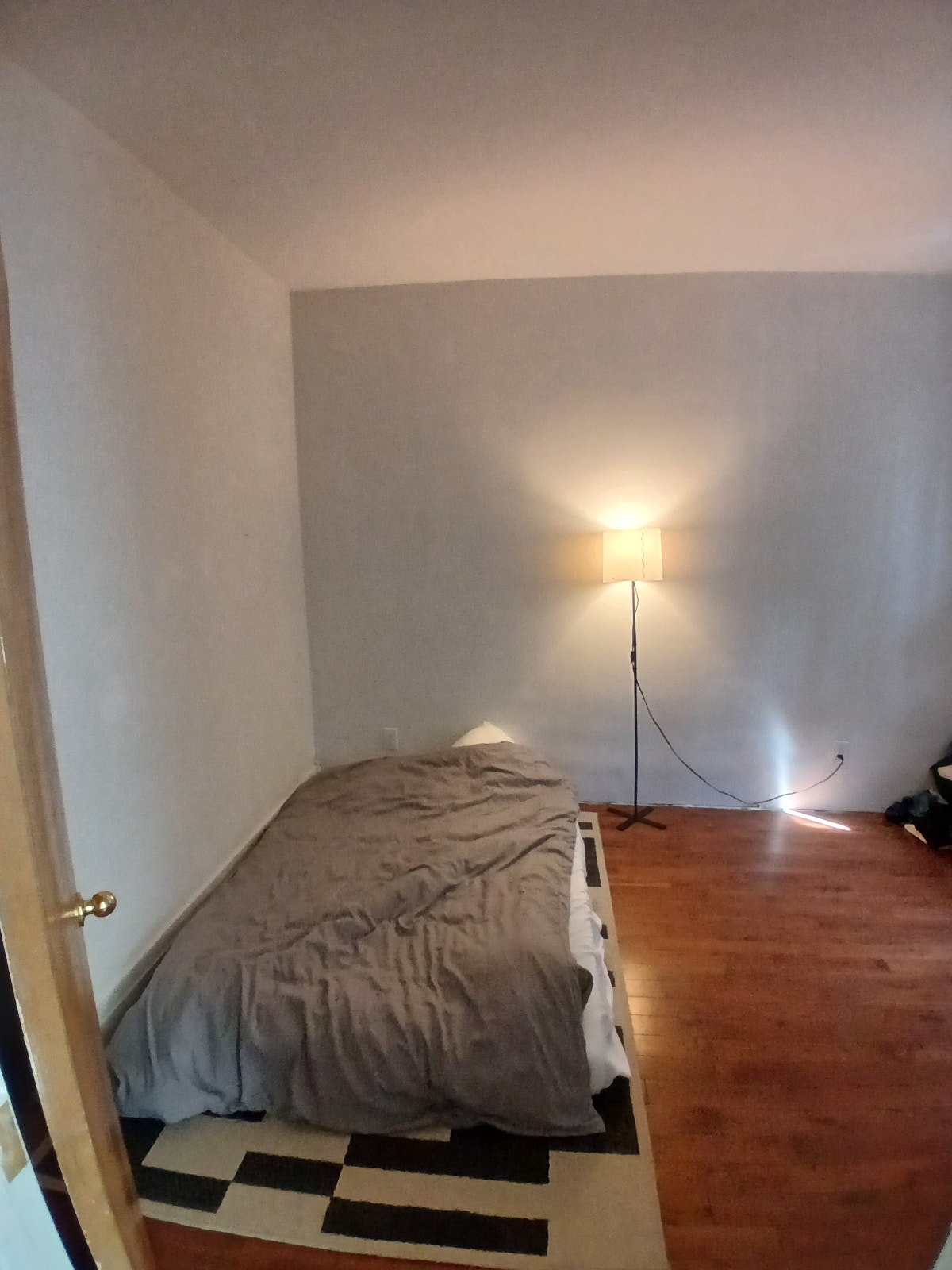 Chambre à louer (colloc) – Quartier Hochelaga | Proximité métro — photo 2