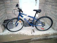 Youth bike