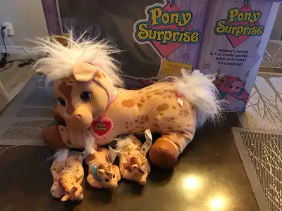 Pony  Surprise, View more