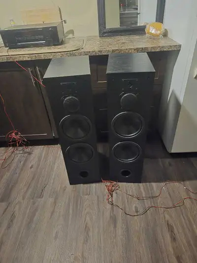 Here is a pair of Digital Fidelity Mach 3 speakers, offering robust sound quality for your listening...